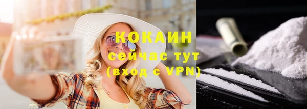 дмт Гусь-Хрустальный
