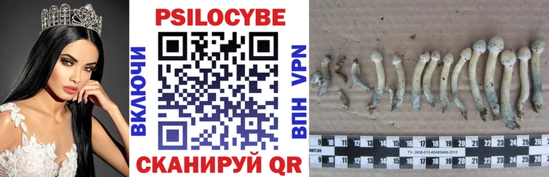 Псилоцибиновые грибы прущие грибы  где найти наркотики  Стрежевой 